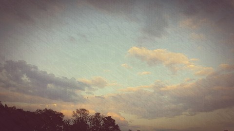 The Little Things