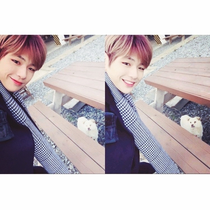 강다니얼과 멍뭉이