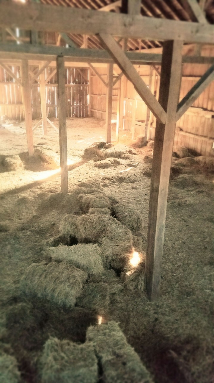 Barn