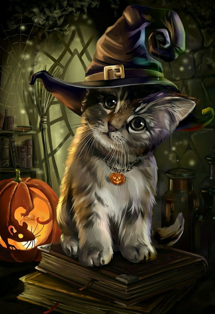 cute cat witch