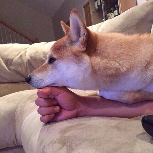 **