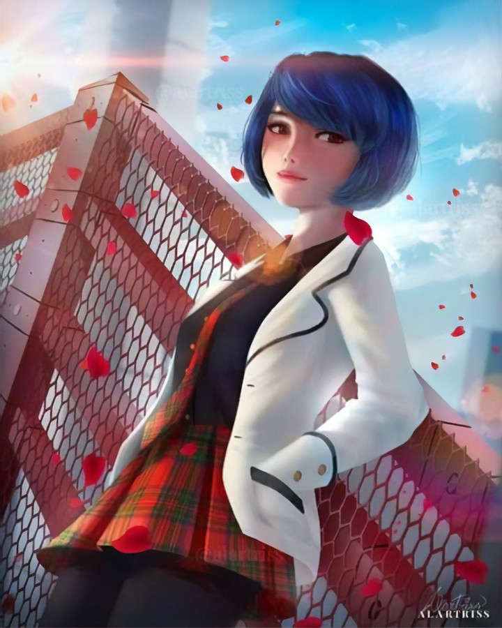 Miraculous Ladybug