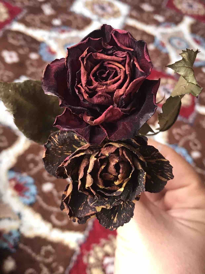 ??