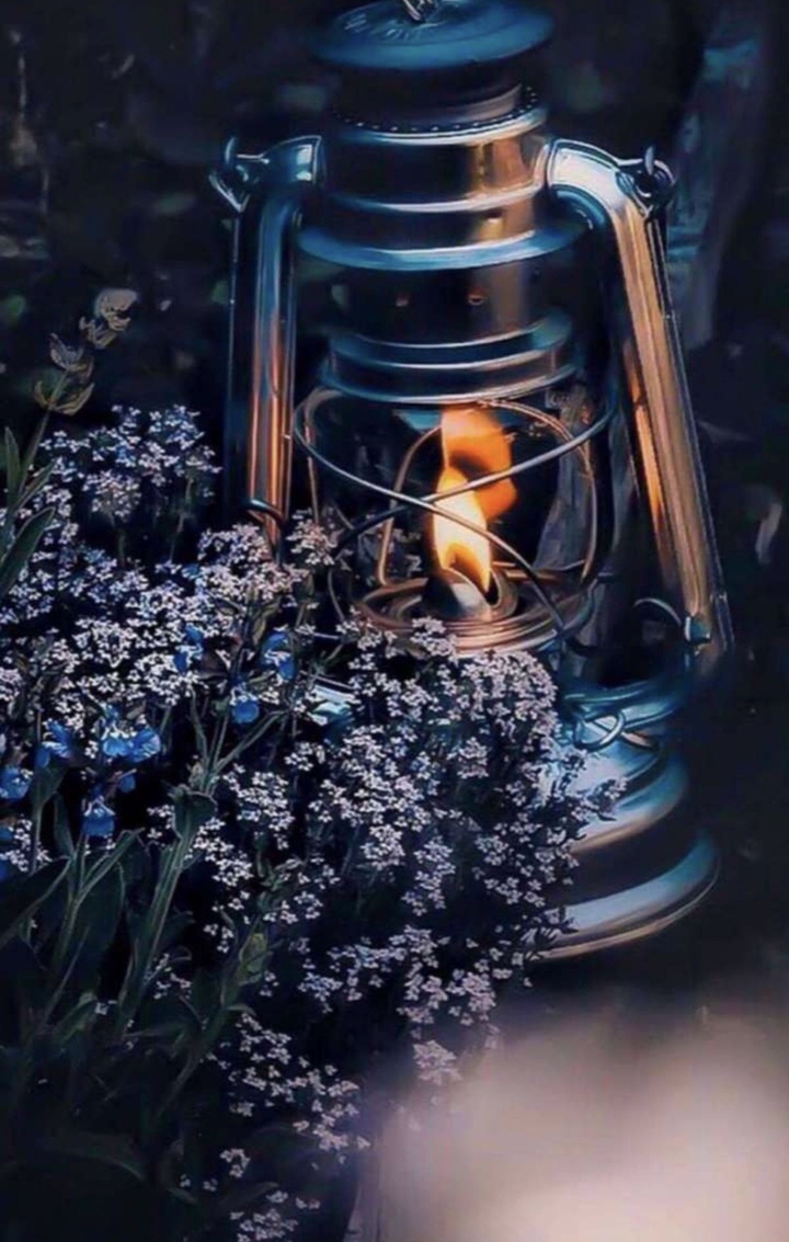 ✨❀✨