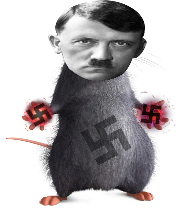 крыса