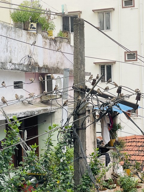 тапети Wire, iron