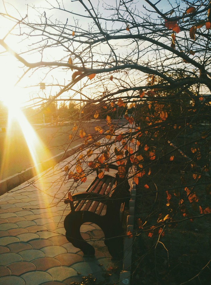 bench