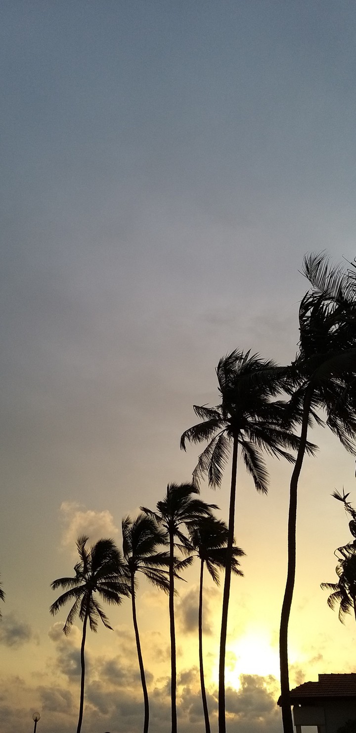 Dusk