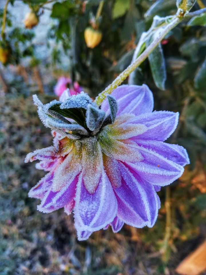 winter