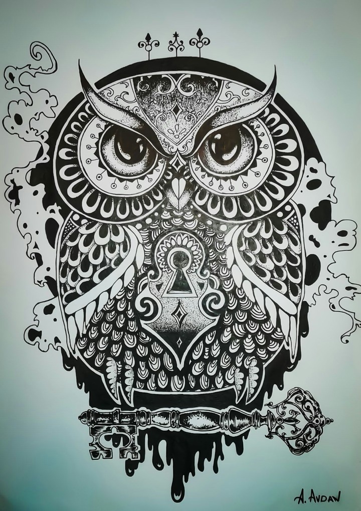 Owl