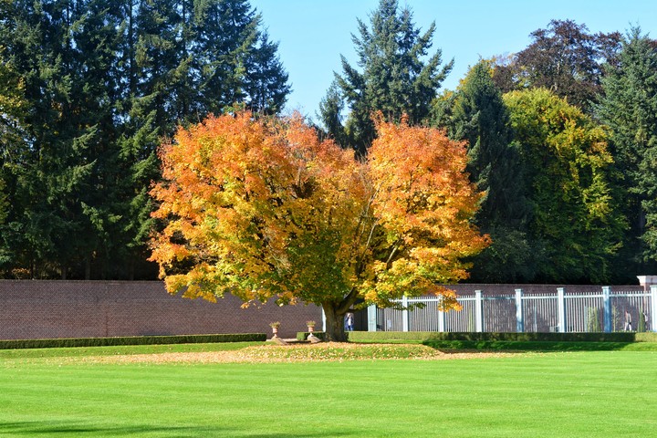autumn colors