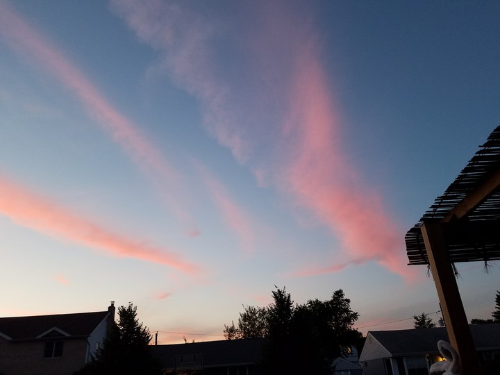 pink sunset