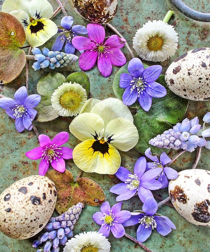 spring