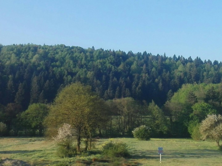 orman