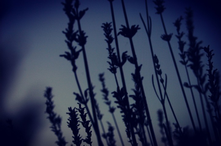 Dawn