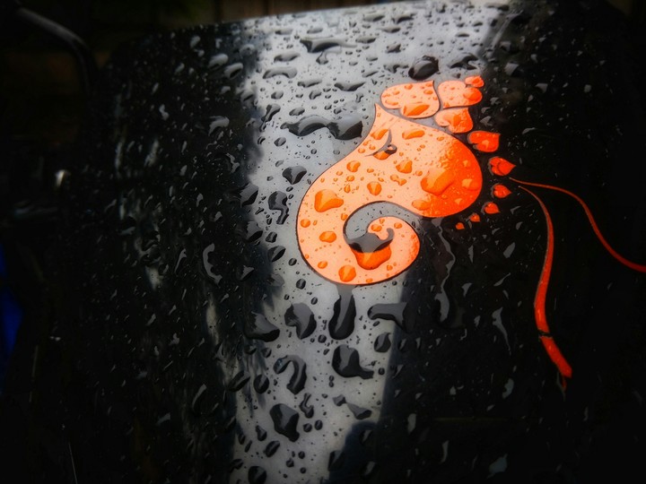 ganapathi