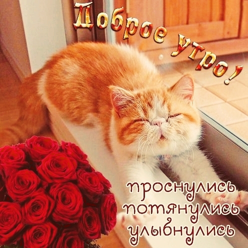 А теперь по едим!!!