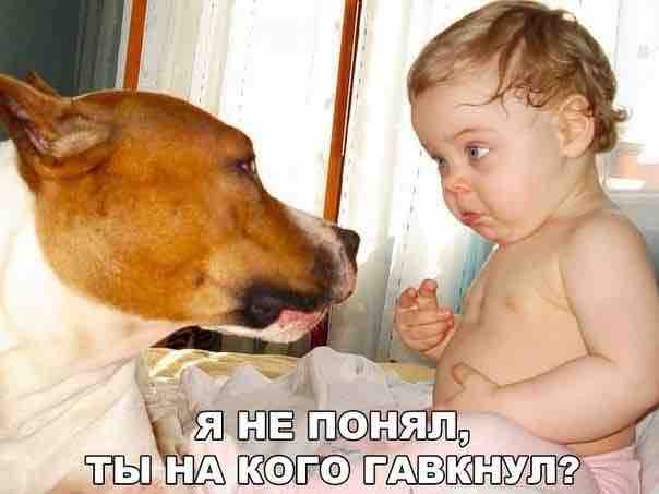 кокгда ты гавкнул на ребёнка 1 летнева