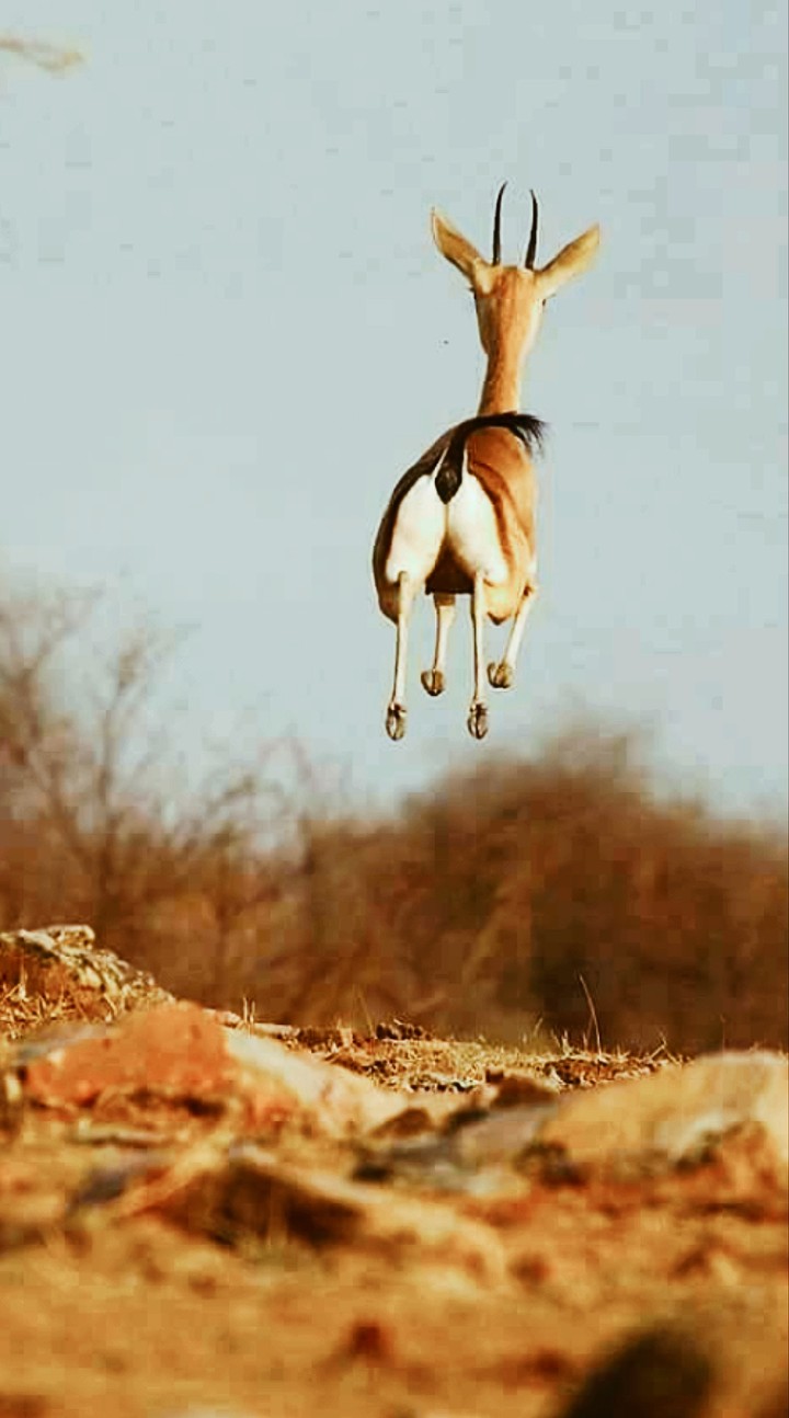 Wowwww..