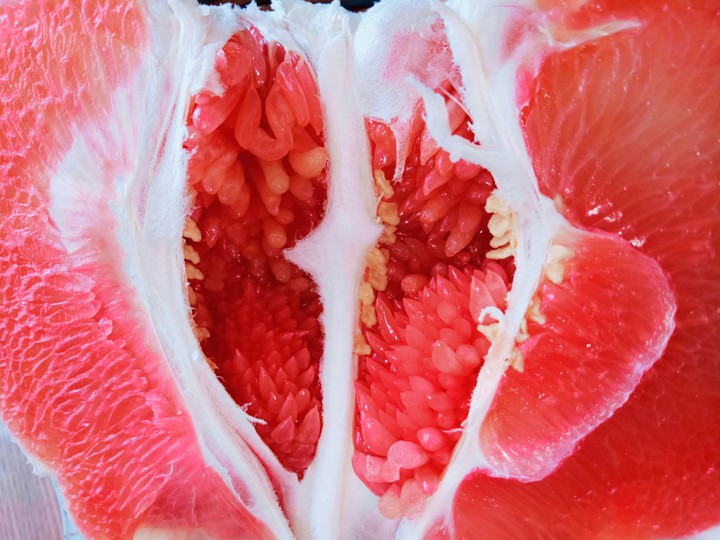 помело pomelo