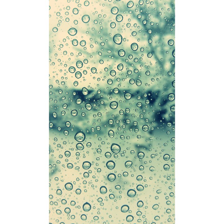 Rainy Day