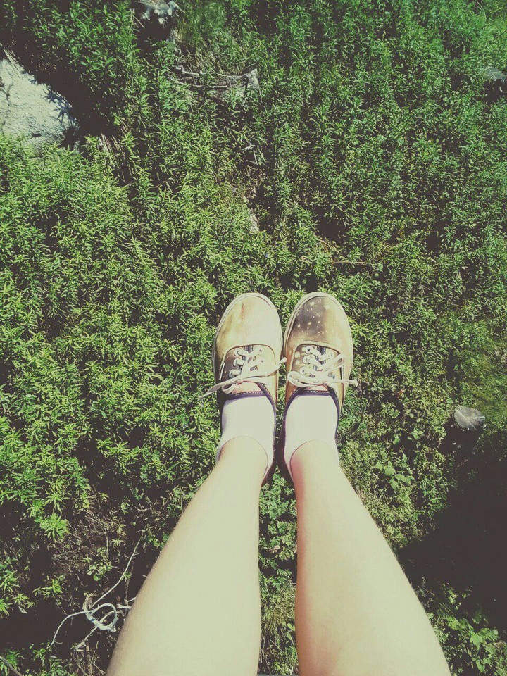 Forest. love. summer.