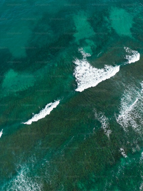 tropics, sea壁紙