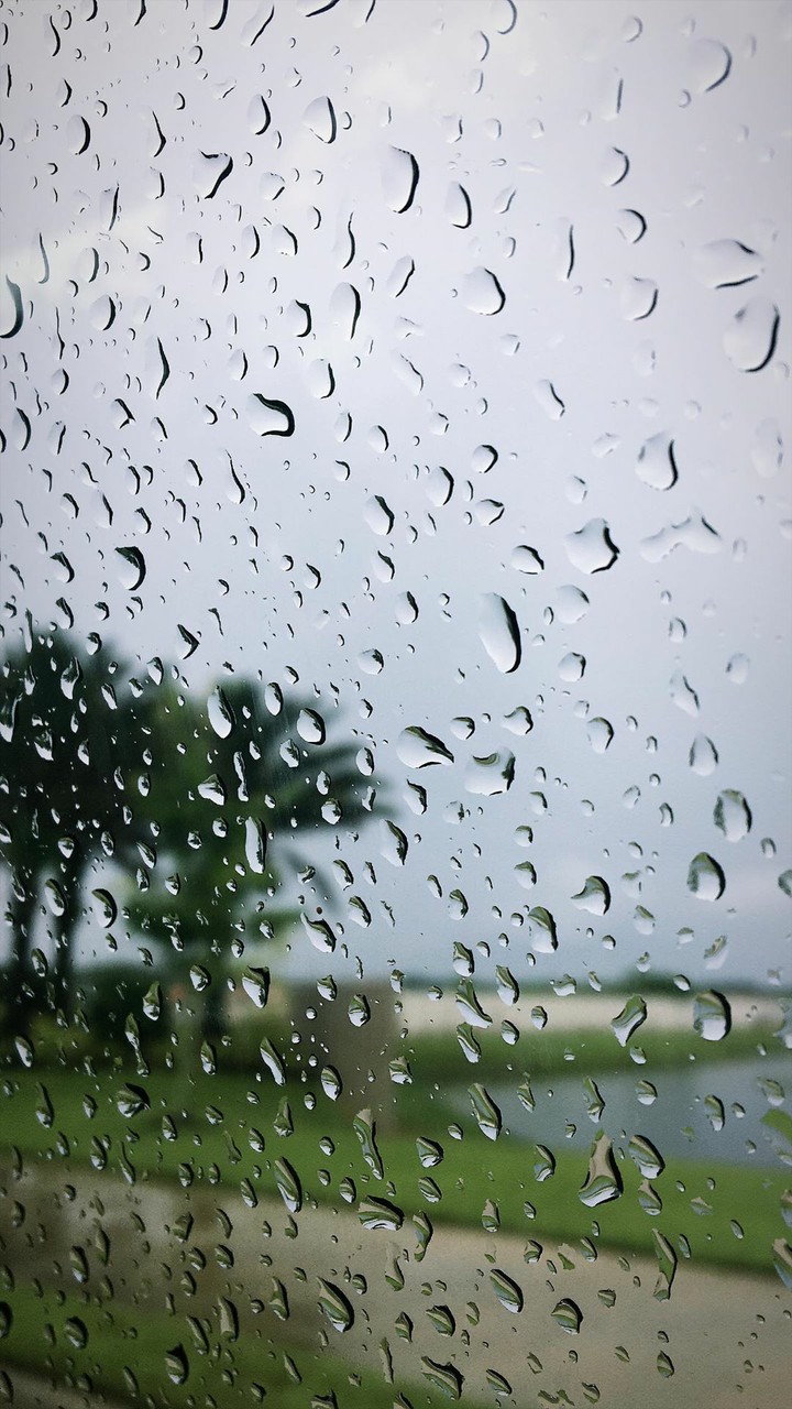 Rainy day