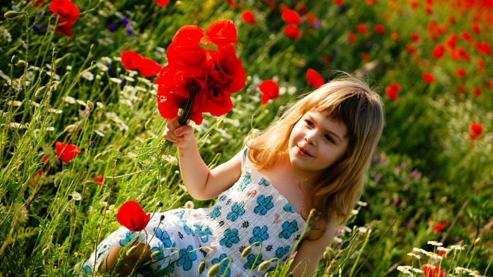 #cut #baby #tulips