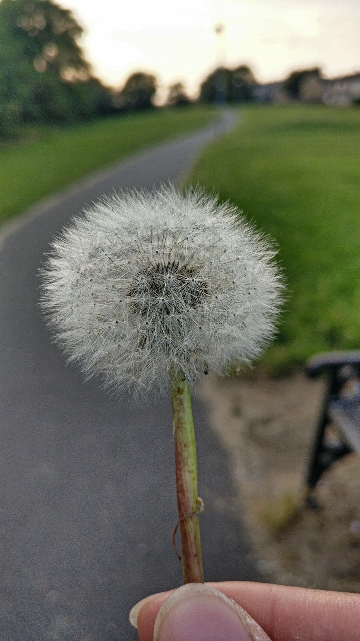 focus