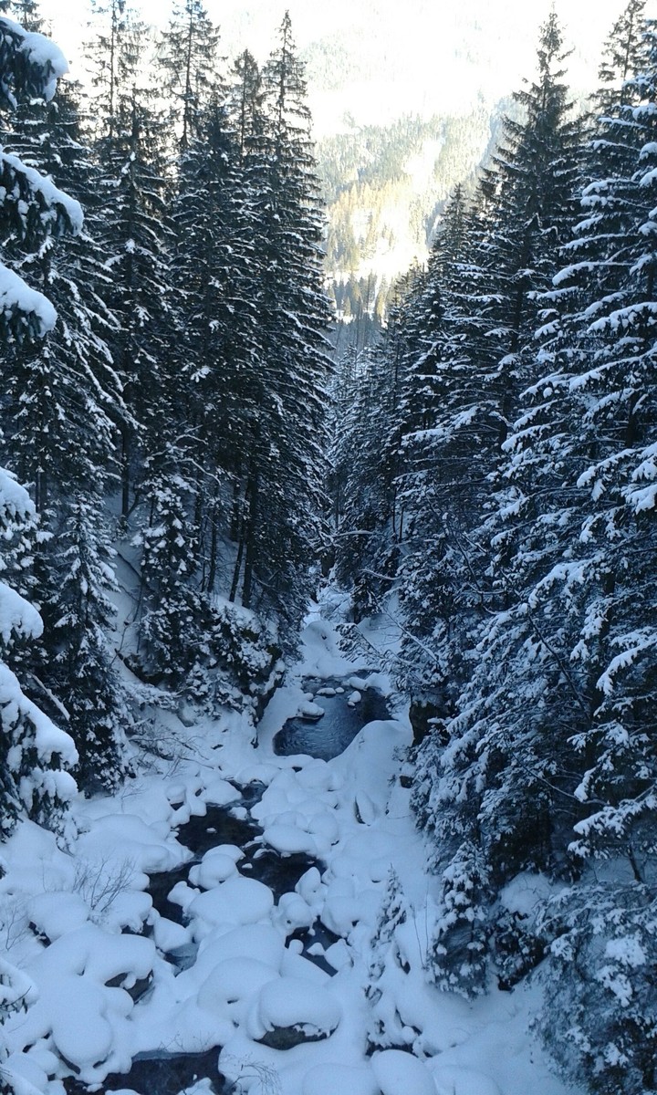 Góry