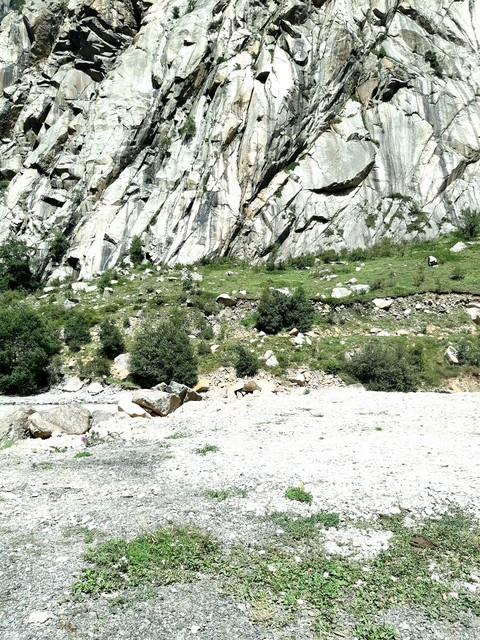 caucasus