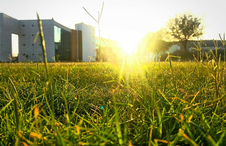 good nature