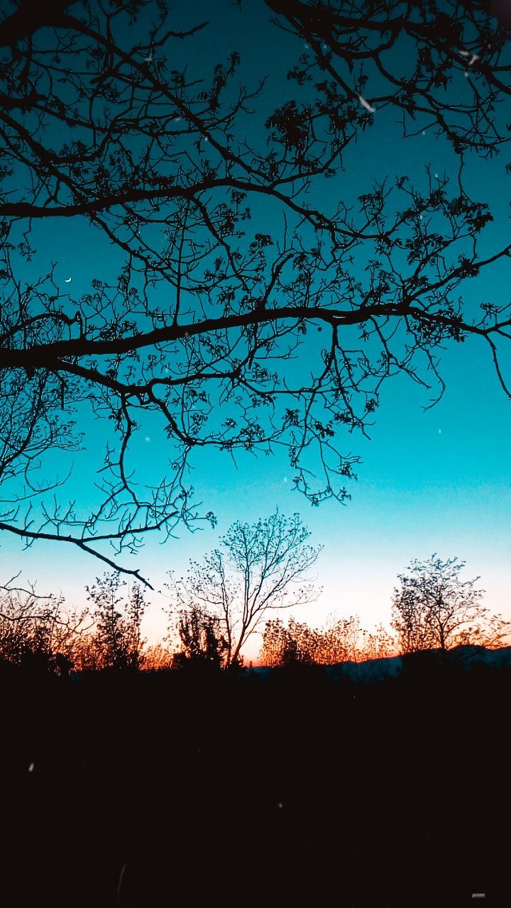 georgia country