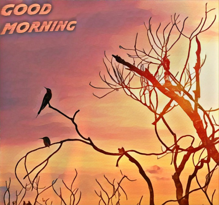 Good Morning