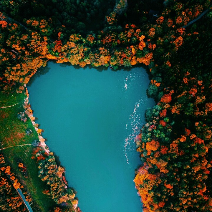 Pureness