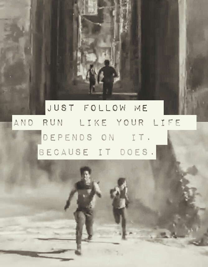 maze runner