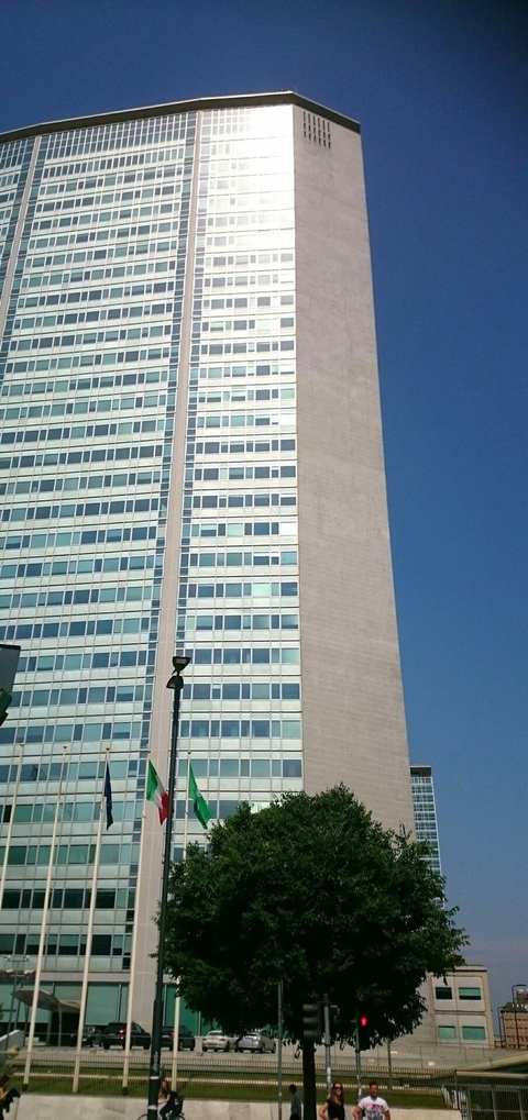 тапети tree, Skyscraper