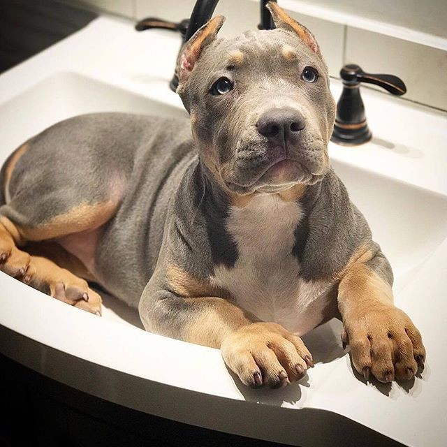 ♥️♥️♥️
