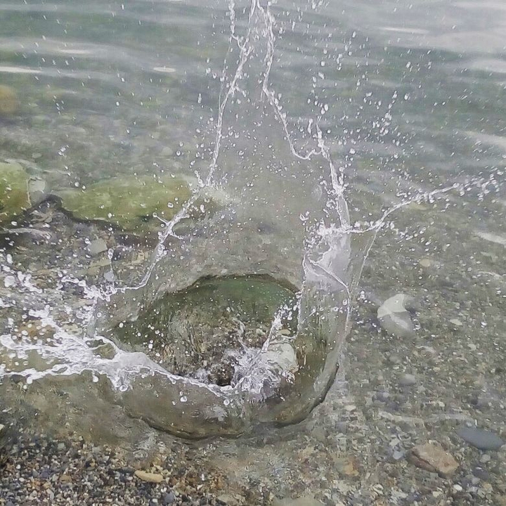 #море