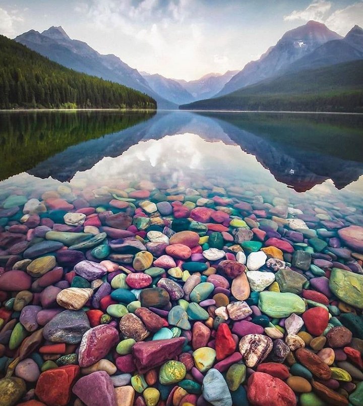 Colors