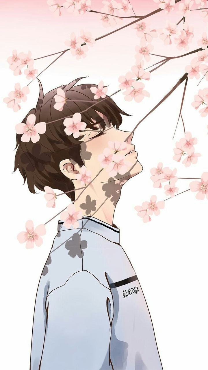 Boy and Sakura
