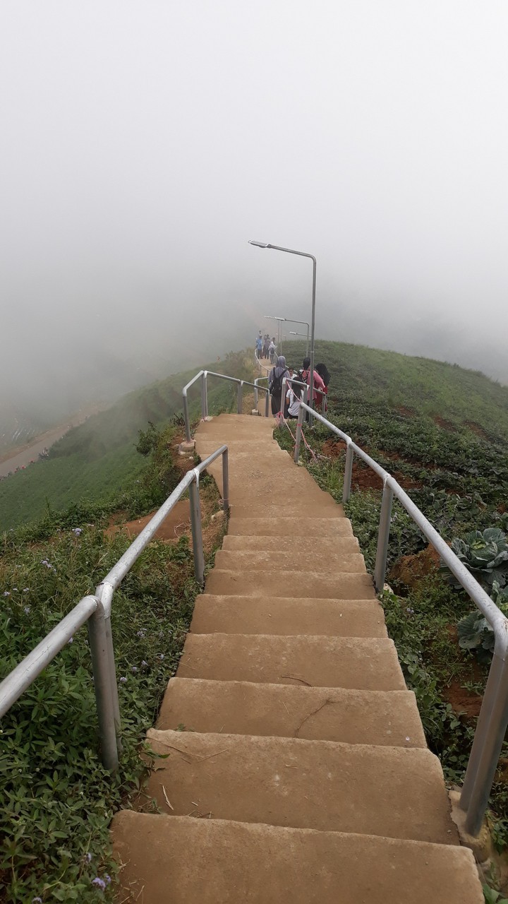 mountain