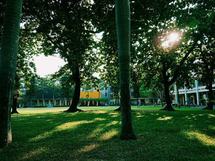 university