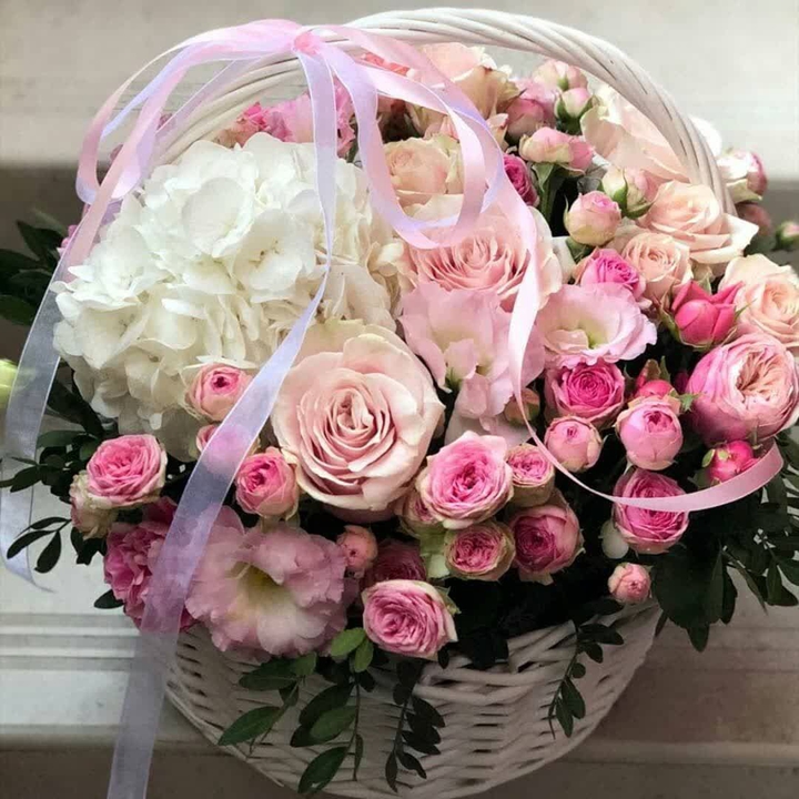 ?❤?❤