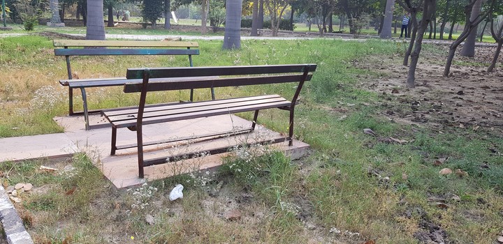 bench
