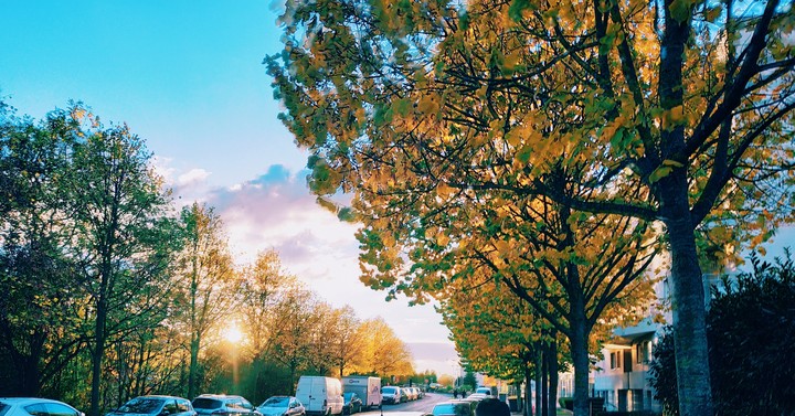 Autumn