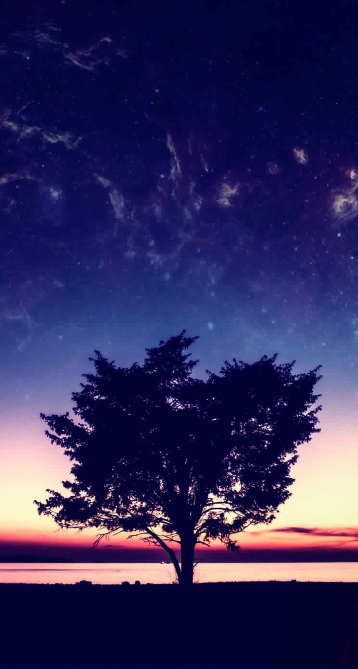 treee......Scenery....