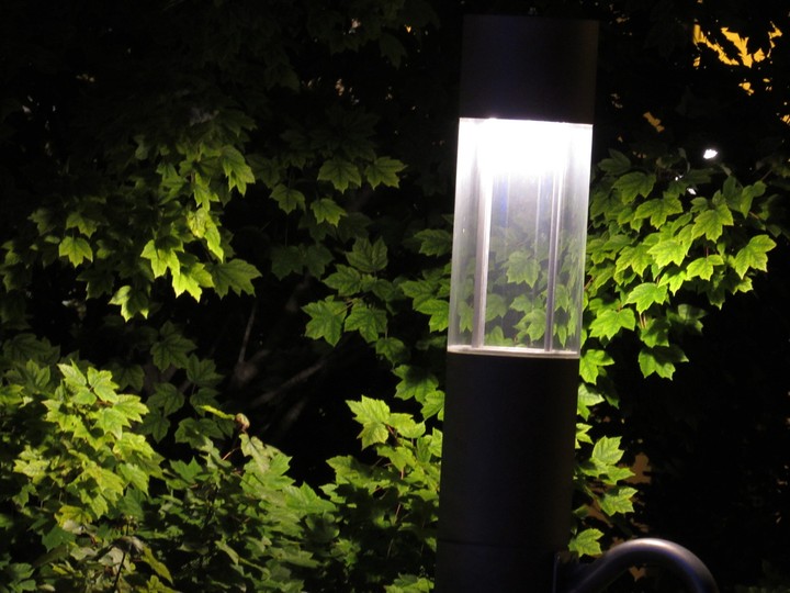 Illumination of life