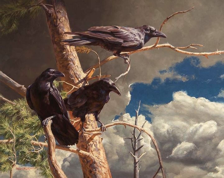 Raven